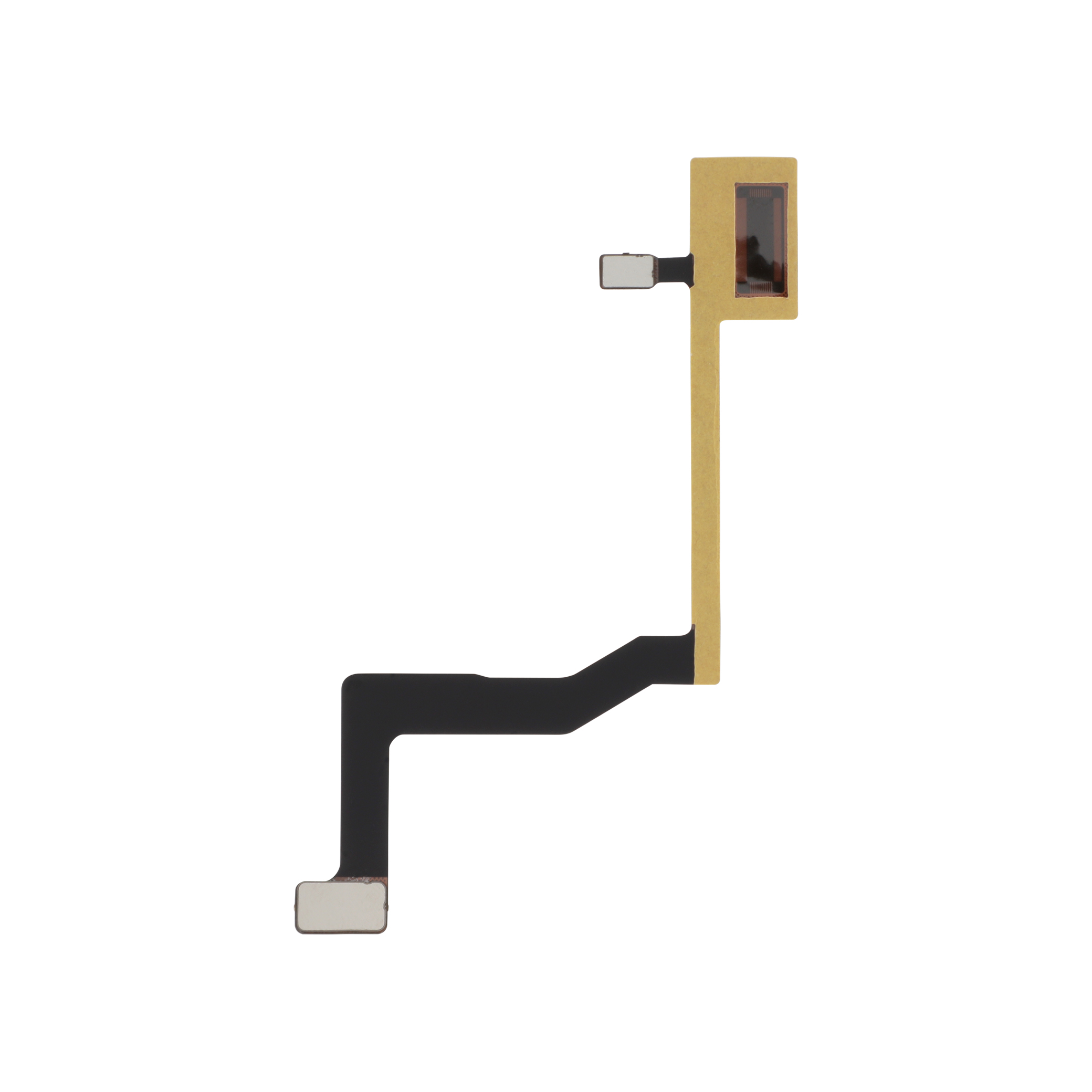 Flex Touch ID iPhone 8 / SE 2020 Compatibil