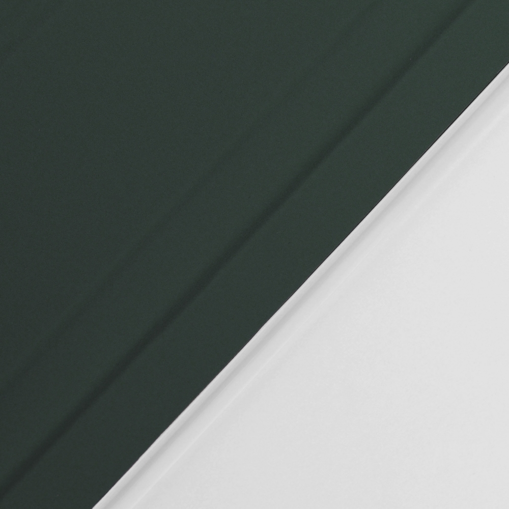Husă magnetică cu spate transparent și colțuri întărite iPad mini 6, Dark Green