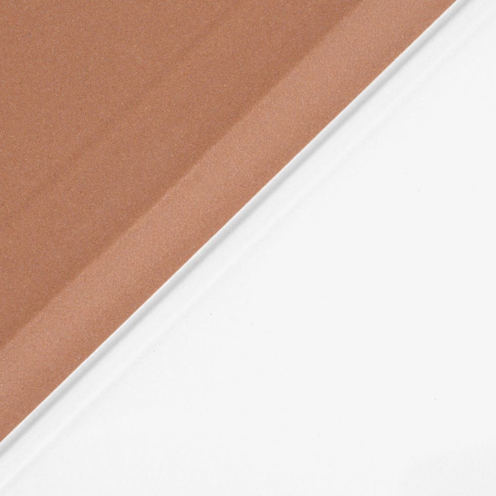 Husă magnetică cu spate transparent și colțuri întărite iPad Pro 11 (2018/2020) - Rose Gold