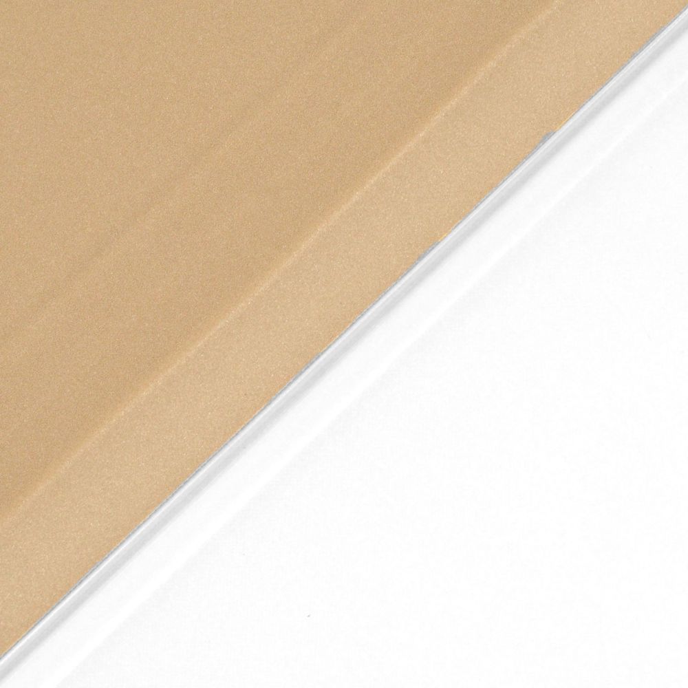 Husă magnetică cu spate transparent și colțuri întărite iPad Pro 11 inch (2018, 2020) - Auriu