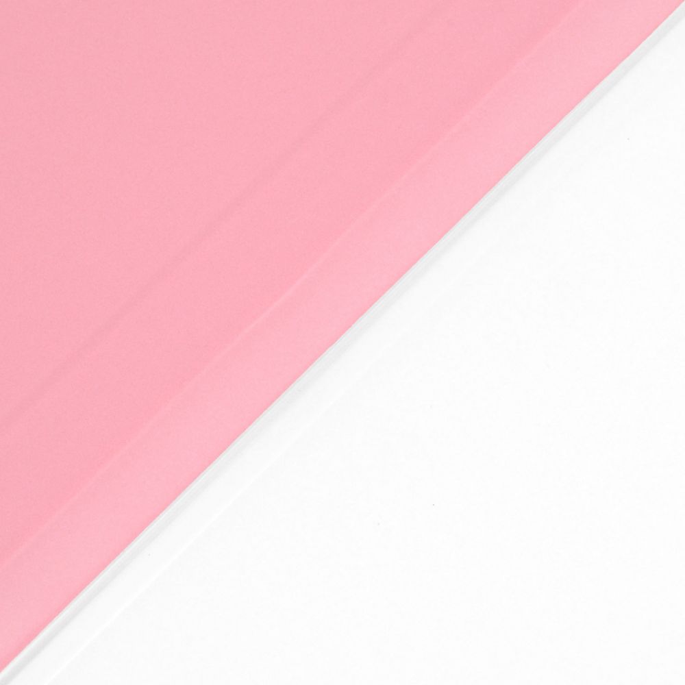 Husă magnetică cu spate transparent și colțuri întărite iPad Pro 11 inch (2018, 2020) Roz