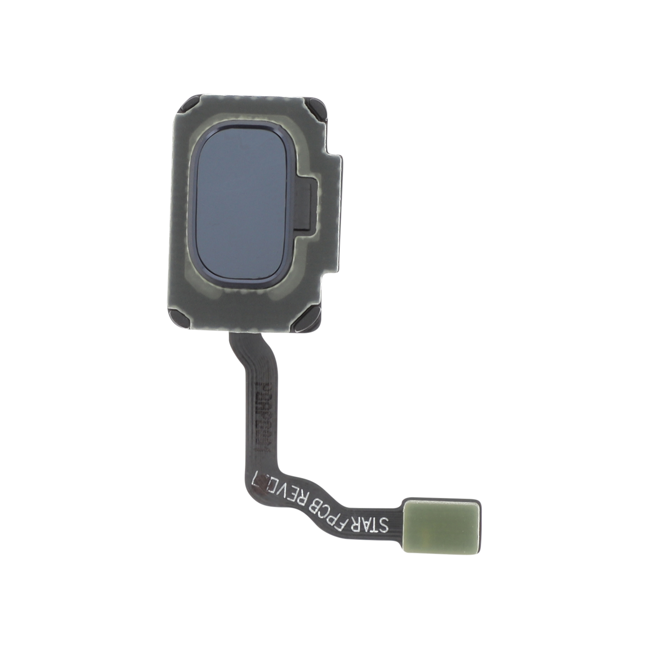 Fingerprint Sensor Blue Coral Samsung Galaxy S9 / S9+ (G960/G965F) Compatibil